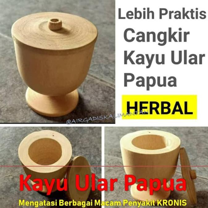 Detail Gambar Kayu Ular Papua Nomer 33