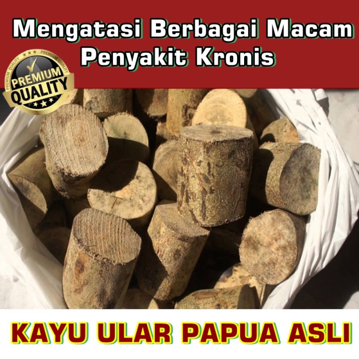 Detail Gambar Kayu Ular Papua Nomer 41