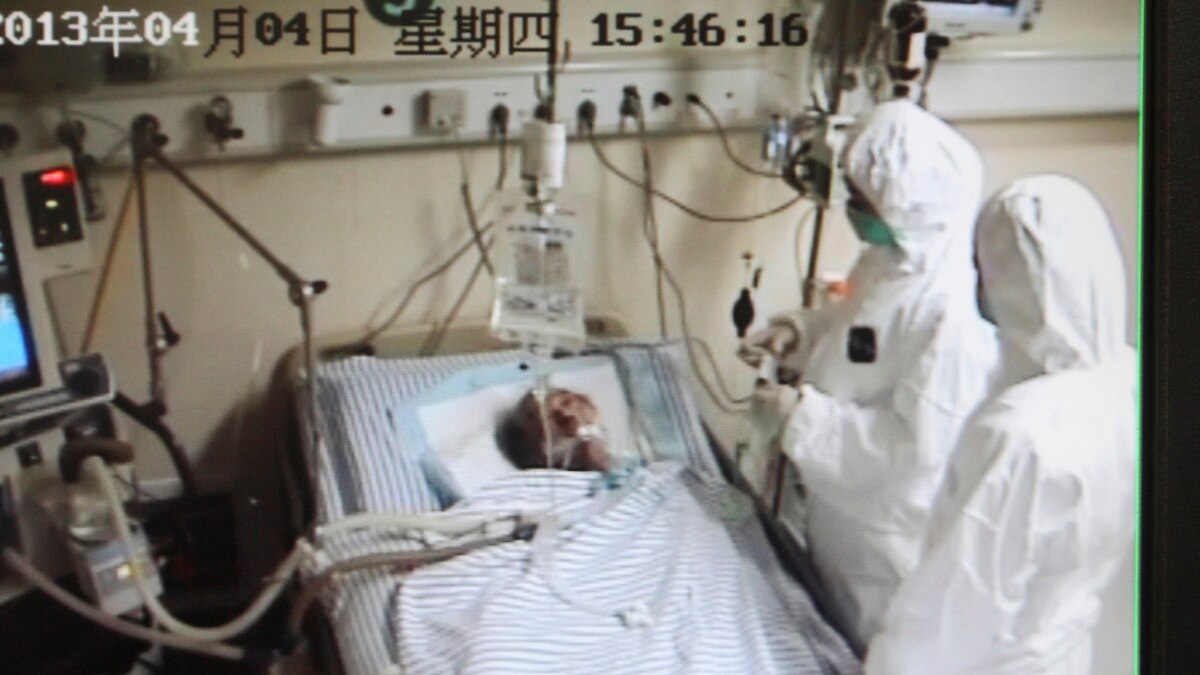 Detail Gambar Keadaan Di Dalam Hongkong Nomer 43
