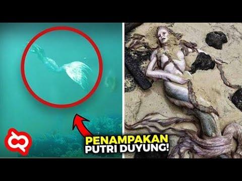 Detail Gambar Keajaiban Dunia Indonesia Gambar Istana Mermaid Nomer 3