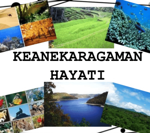 Detail Gambar Keanekaragaman Hayati Nomer 14