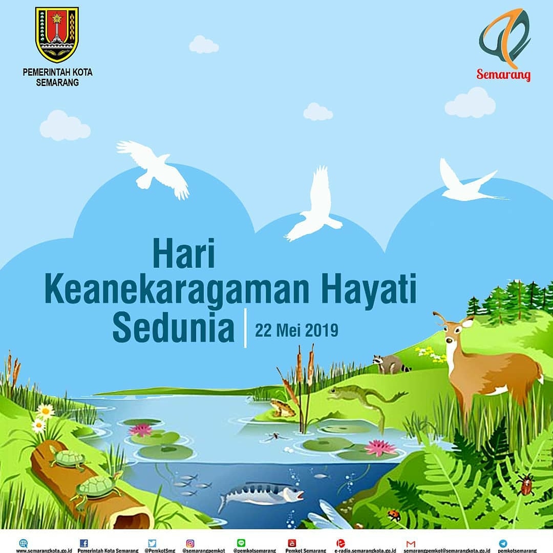 Detail Gambar Keanekaragaman Hayati Nomer 5