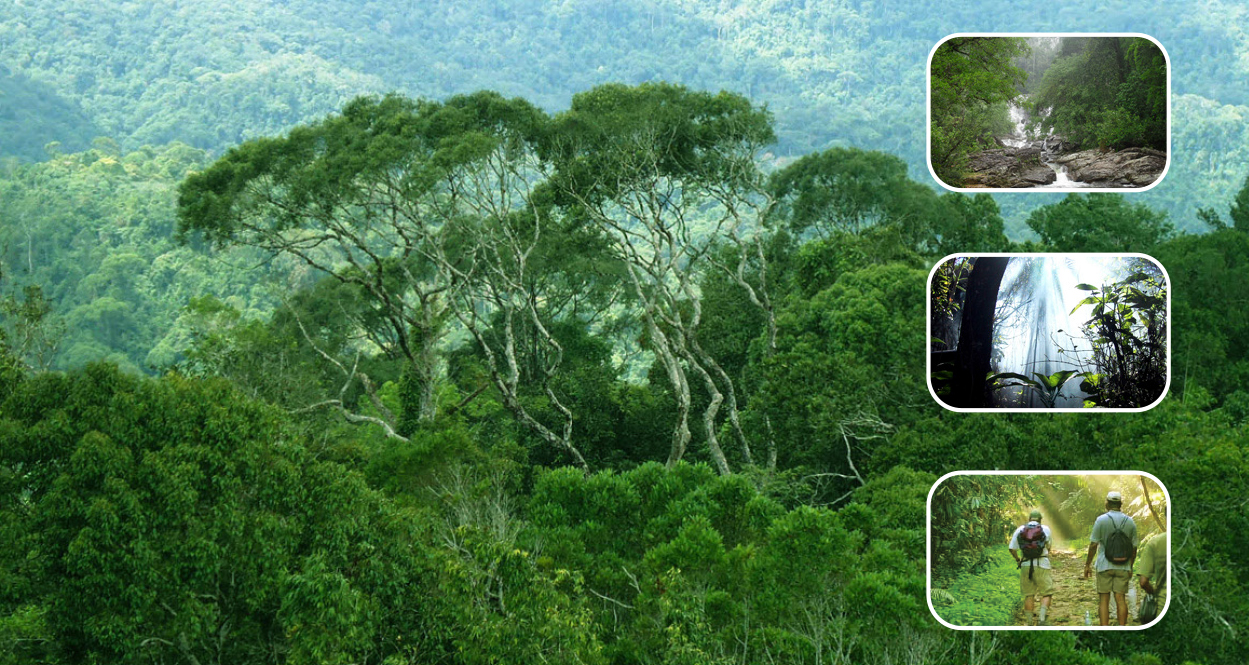 Detail Gambar Keanekaragaman Hayati Tingkat Ekosistem Nomer 19