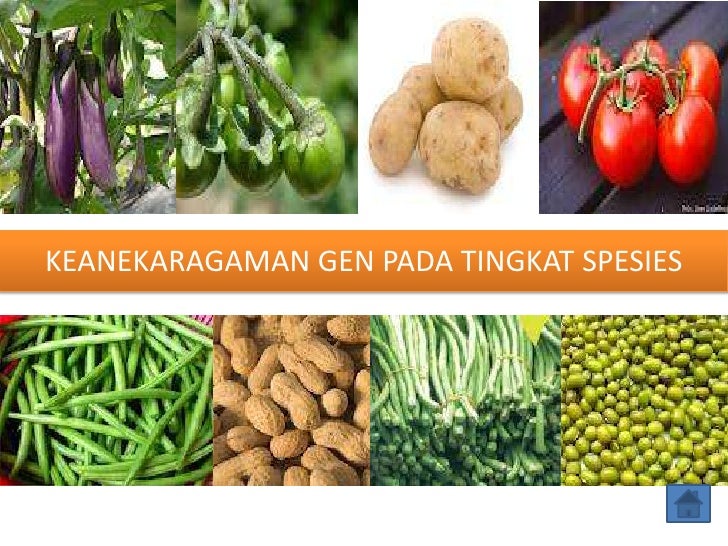 Detail Gambar Keanekaragaman Hayati Tingkat Jenis Nomer 15