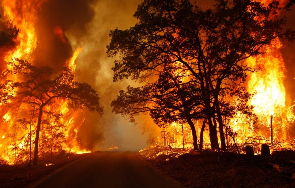 Gambar Kebakaran Hutan - KibrisPDR