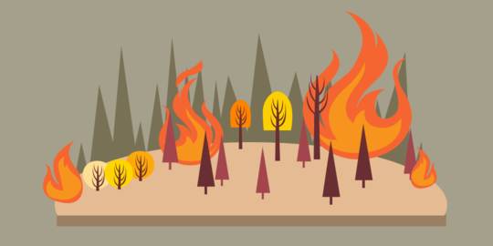 Detail Gambar Kebakaran Hutan Animasi Nomer 16