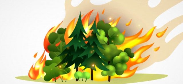 Detail Gambar Kebakaran Hutan Animasi Nomer 17
