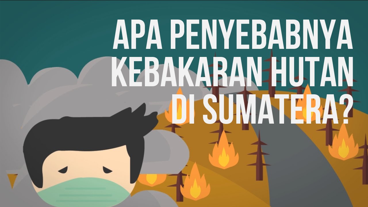 Detail Gambar Kebakaran Hutan Animasi Nomer 43