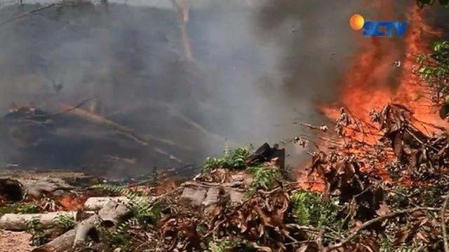 Detail Gambar Kebakaran Hutan Di Aceh Nomer 10