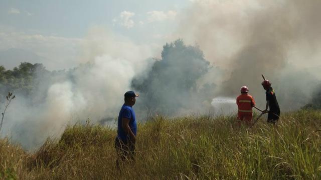 Detail Gambar Kebakaran Hutan Di Aceh Nomer 12