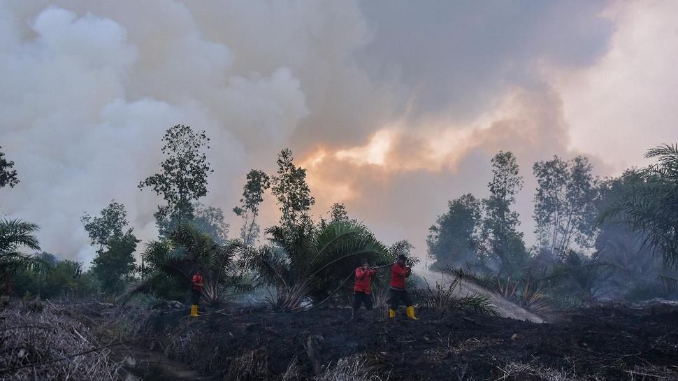 Detail Gambar Kebakaran Hutan Di Aceh Nomer 3