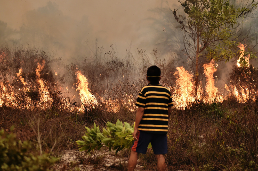 Detail Gambar Kebakaran Hutan Di Aceh Nomer 19