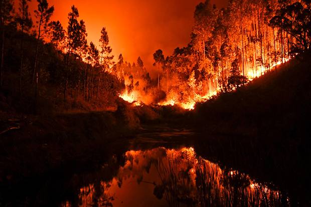 Detail Gambar Kebakaran Hutan Di Aceh 2017 Nomer 26