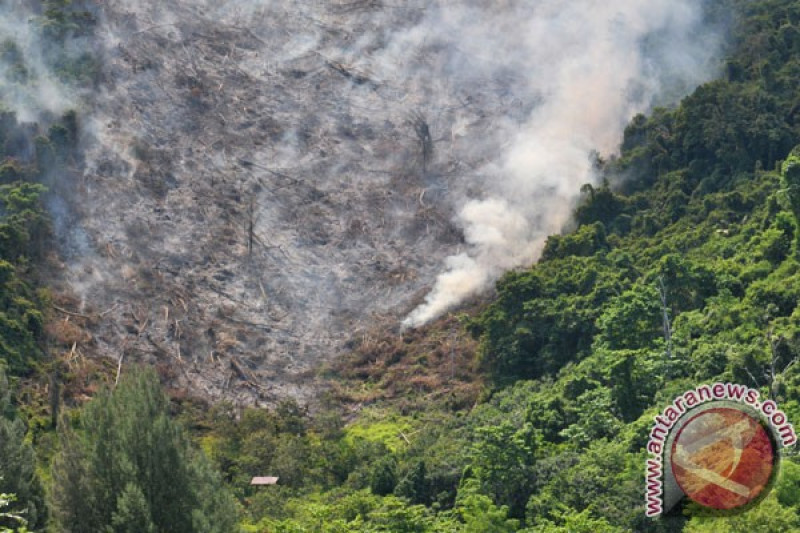 Detail Gambar Kebakaran Hutan Di Aceh 2017 Nomer 29