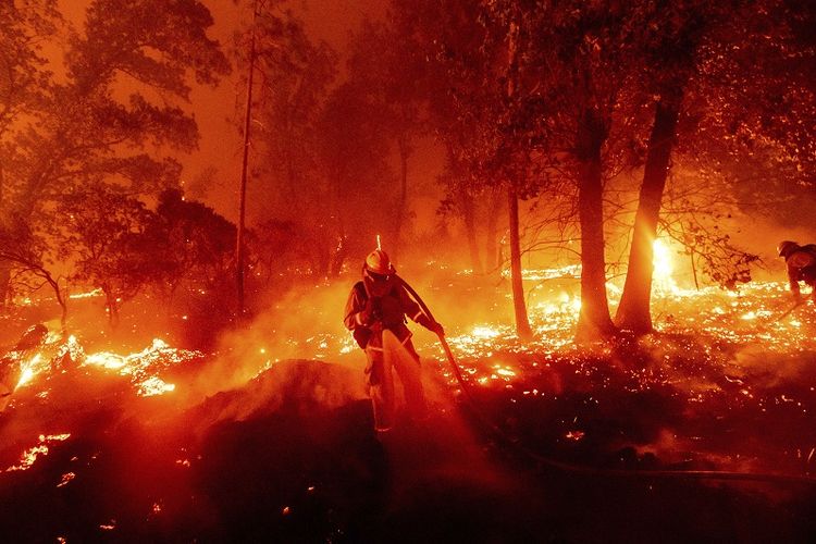 Detail Gambar Kebakaran Hutan Di Aceh 2017 Nomer 30