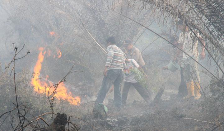 Detail Gambar Kebakaran Hutan Di Aceh 2017 Nomer 31