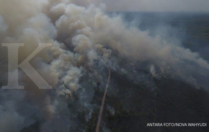 Detail Gambar Kebakaran Hutan Di Aceh 2017 Nomer 34