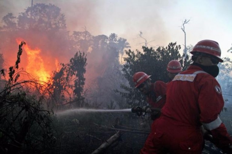 Detail Gambar Kebakaran Hutan Di Aceh 2017 Nomer 5