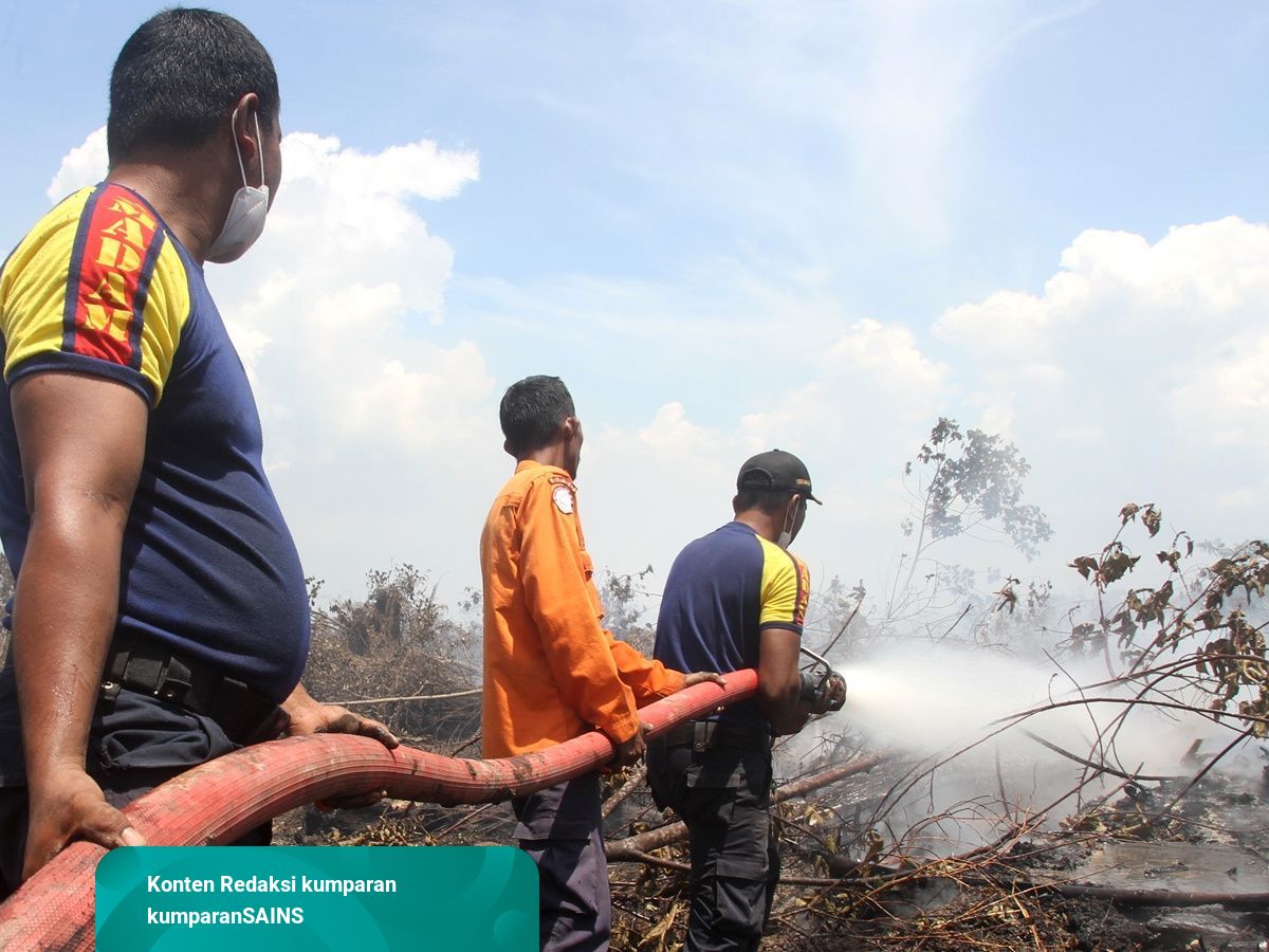 Detail Gambar Kebakaran Hutan Di Aceh 2017 Nomer 44