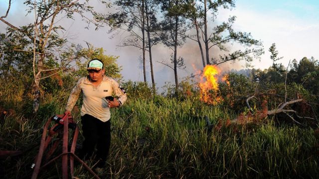 Detail Gambar Kebakaran Hutan Di Aceh 2017 Nomer 6