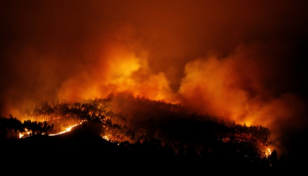 Detail Gambar Kebakaran Hutan Di Aceh 2017 Nomer 51