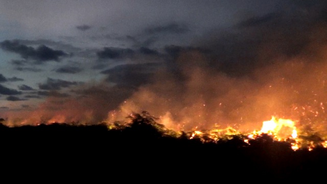 Detail Gambar Kebakaran Hutan Di Aceh 2017 Nomer 52