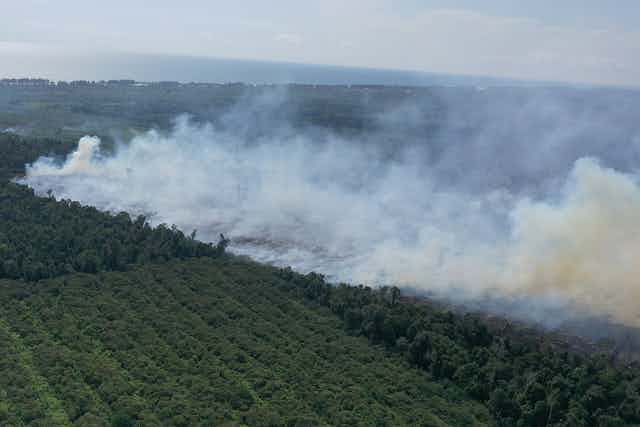 Detail Gambar Kebakaran Hutan Di Aceh Nomer 27