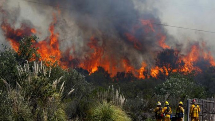 Detail Gambar Kebakaran Hutan Di Aceh Nomer 29