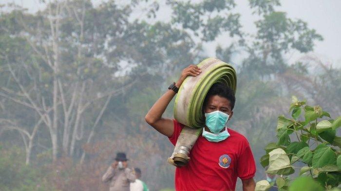 Detail Gambar Kebakaran Hutan Di Aceh Nomer 31