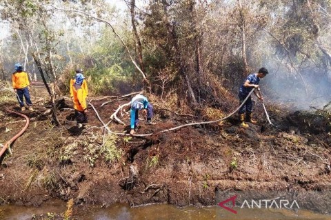 Detail Gambar Kebakaran Hutan Di Aceh Nomer 36