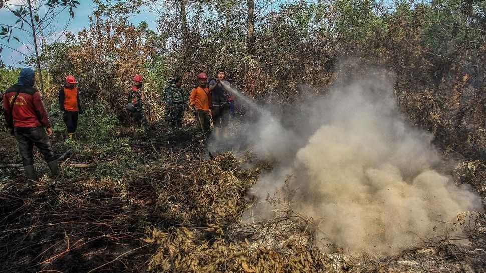 Detail Gambar Kebakaran Hutan Di Aceh Nomer 40