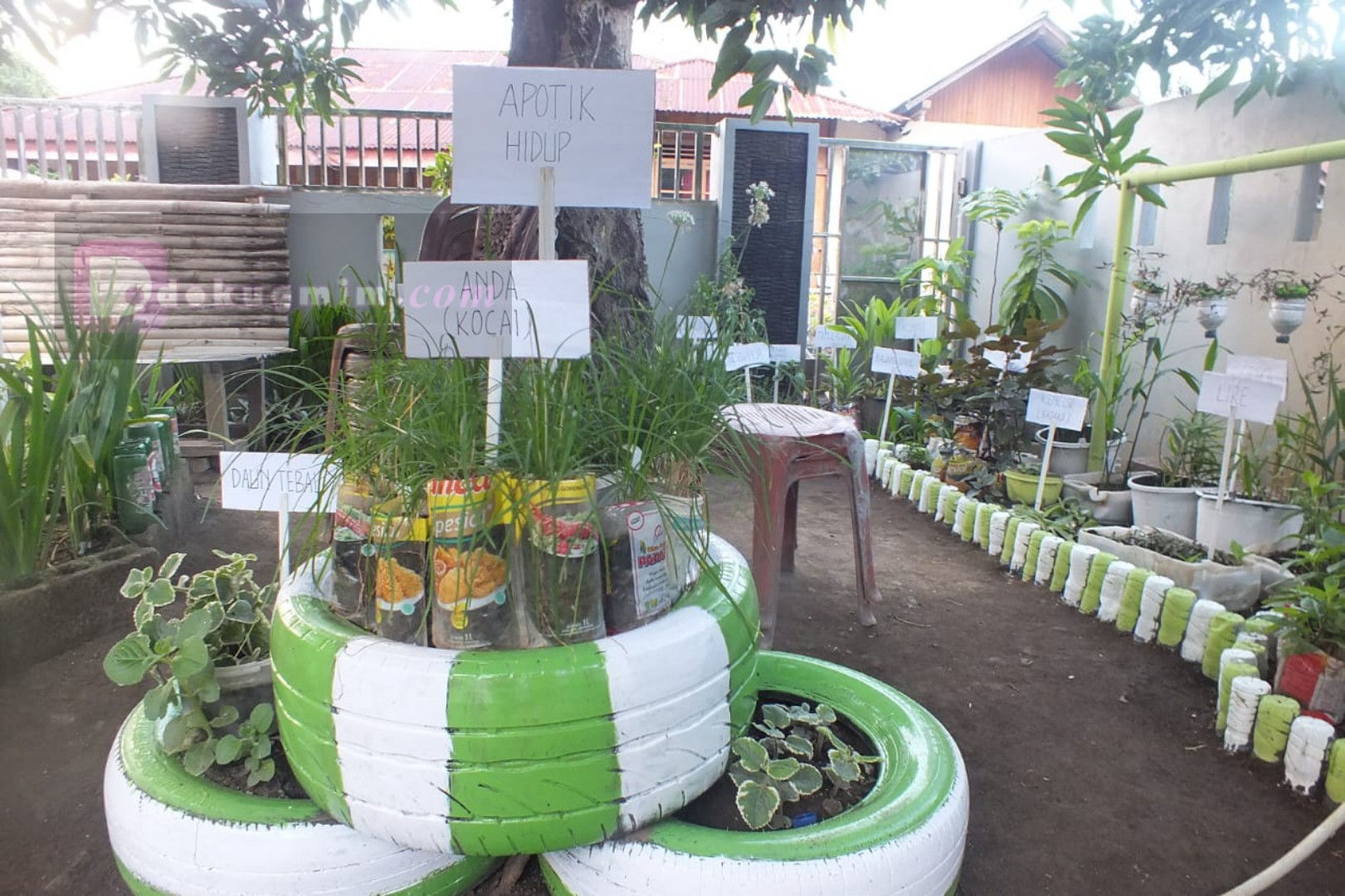 Detail Gambar Kebun Apltek Hidup Nomer 15