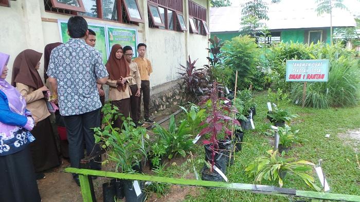 Detail Gambar Kebun Apltek Hidup Nomer 18