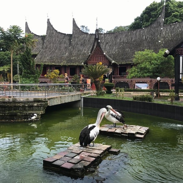 Detail Gambar Kebun Binatang Bukit Tinggi Nomer 38