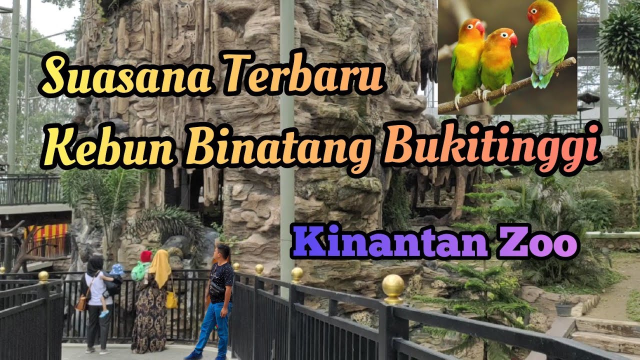 Detail Gambar Kebun Binatang Bukittinggi Nomer 12