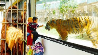 Detail Gambar Kebun Binatang Bukittinggi Nomer 16