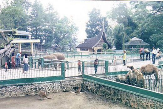 Detail Gambar Kebun Binatang Bukittinggi Nomer 36