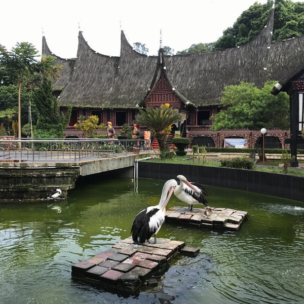 Detail Gambar Kebun Binatang Bukittinggi Nomer 41