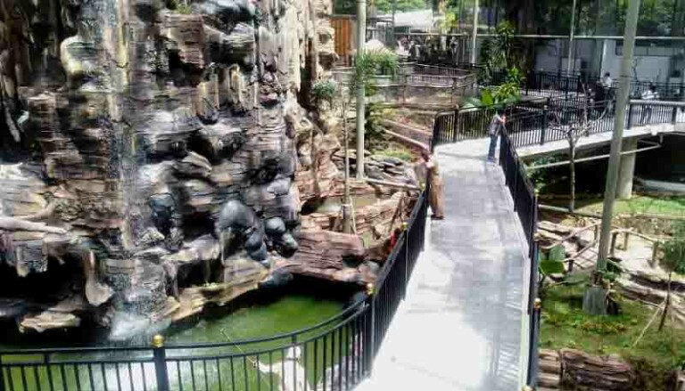 Detail Gambar Kebun Binatang Bukittinggi Nomer 6
