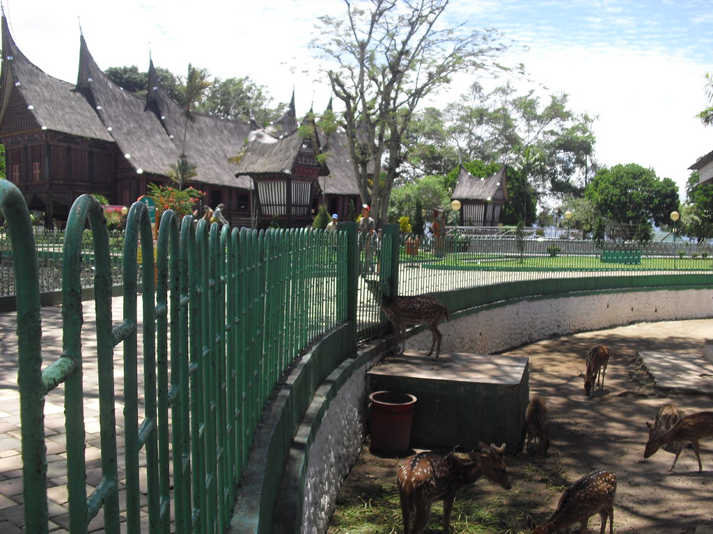 Detail Gambar Kebun Binatang Bukittinggi Nomer 56