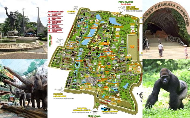 Detail Gambar Kebun Binatang Ragunan Nomer 33