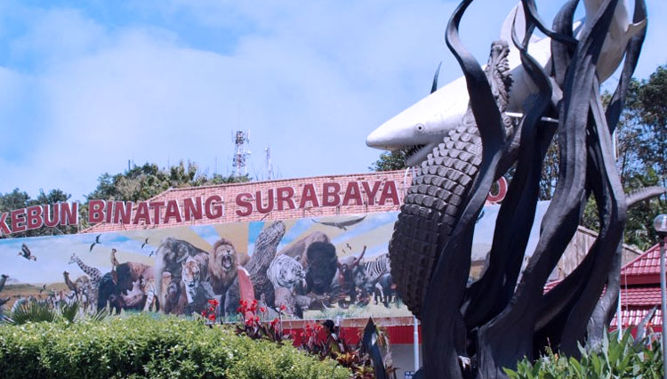 Detail Gambar Kebun Binatang Surabaya Nomer 2