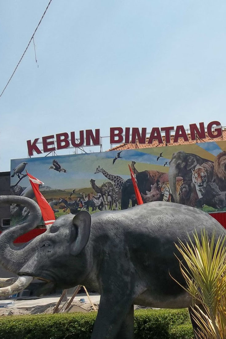 Detail Gambar Kebun Binatang Surabaya Nomer 9