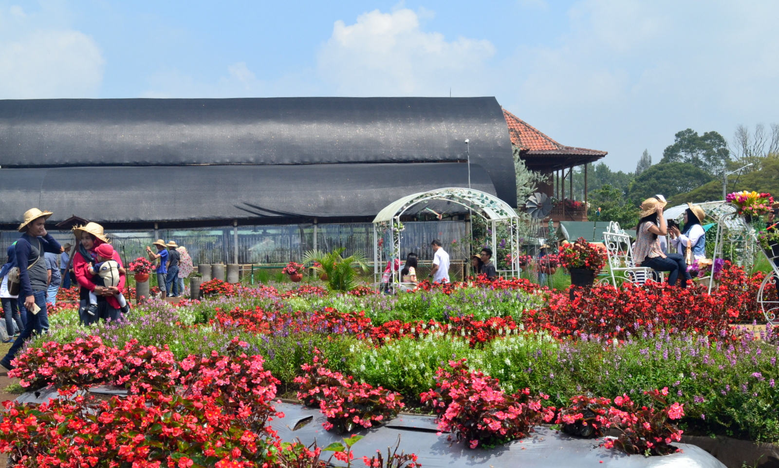 Detail Gambar Kebun Bunga Di Bandung Nomer 29