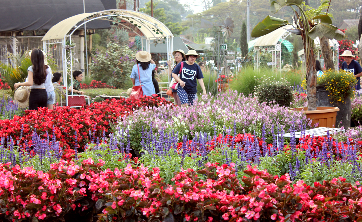 Detail Gambar Kebun Bunga Di Bandung Nomer 31