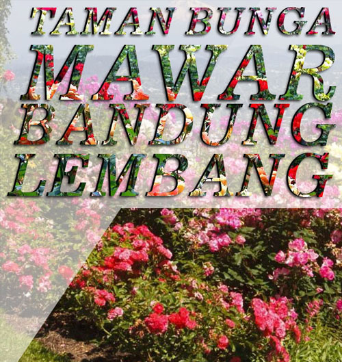 Detail Gambar Kebun Bunga Di Bandung Nomer 45