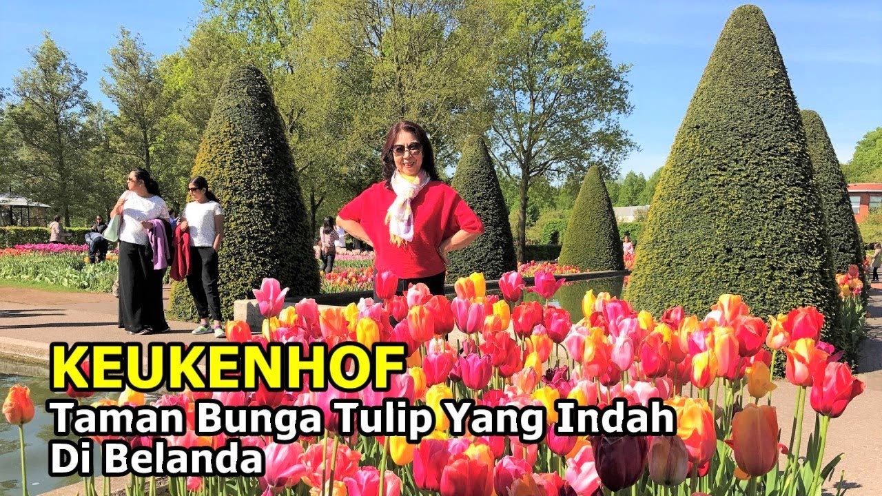 Detail Gambar Kebun Bunga Tulip Di Belanda Nomer 43