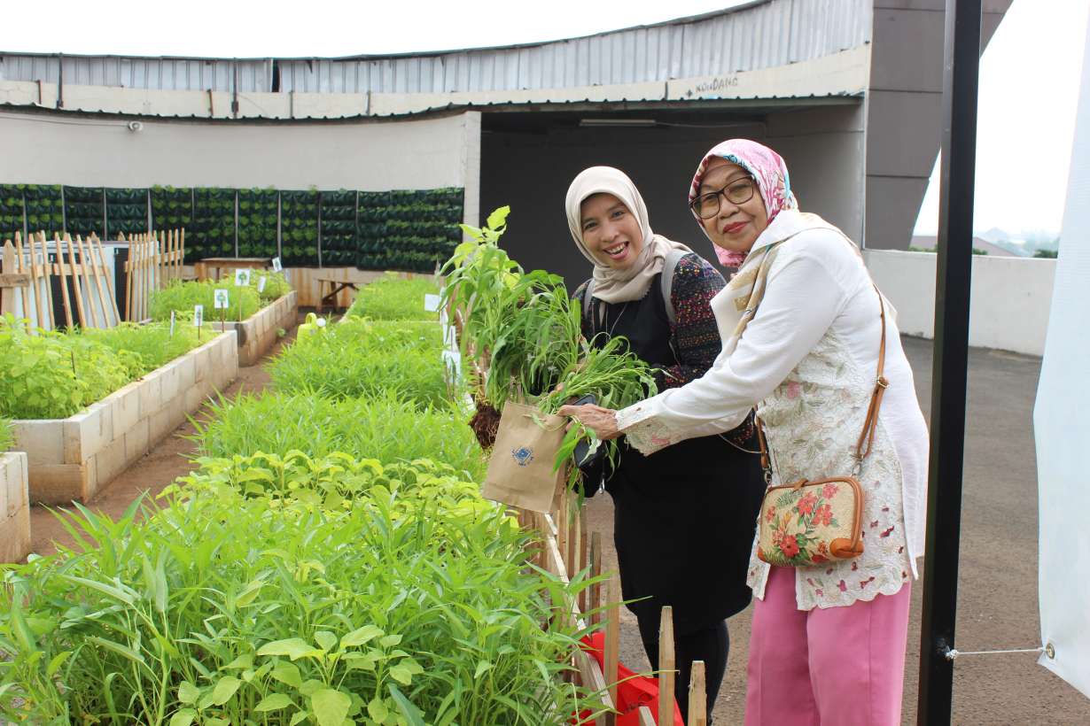 Detail Gambar Kebun Di Rooftop Nomer 26