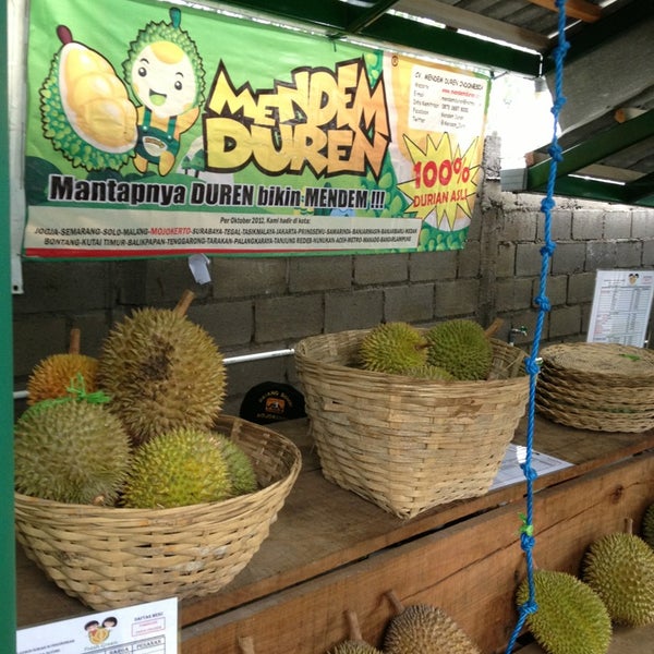 Detail Gambar Kebun Durian Nomer 37