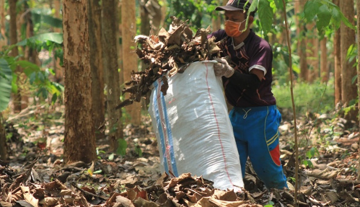 Detail Gambar Kebun Makanan Kambing Nomer 40